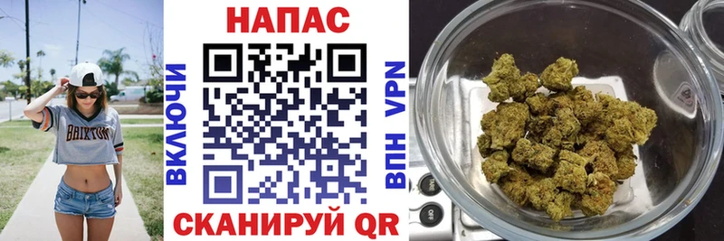 Шишки марихуана гибрид  Купить закладки  Асино 